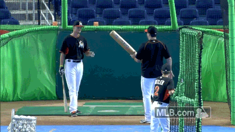 Largest MLB Bat - Justin Nicolino
