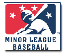 Minor League Baseball Player Reviewing
