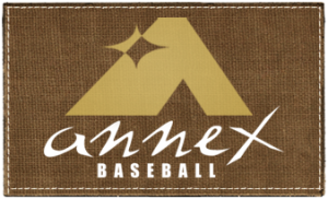 Annex Logo