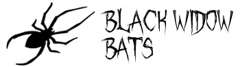 black-widow-bats-logo