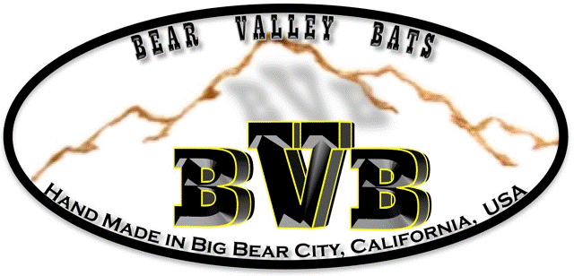 BVB_Logo_for_Web