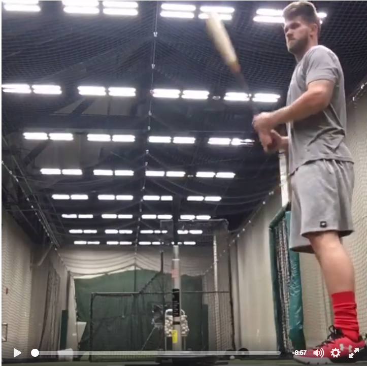 Bryce Harper Warm-Up Bat