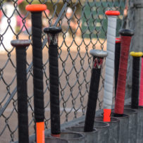 Baseball Bats Lineup